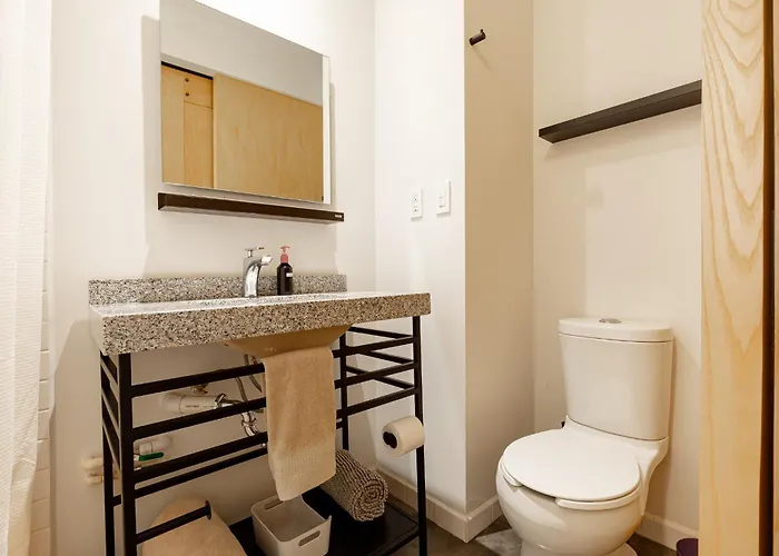 Triver Coliving * México DF