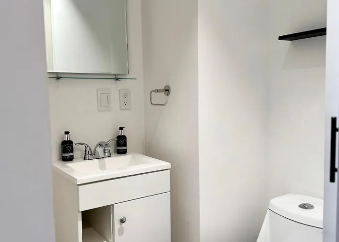 Triver Coliving * México DF